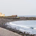 Live Palmeras Puerto de la Cruz (Tenerife)