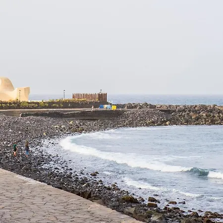 Live Palmeras Puerto de la Cruz (Tenerife)