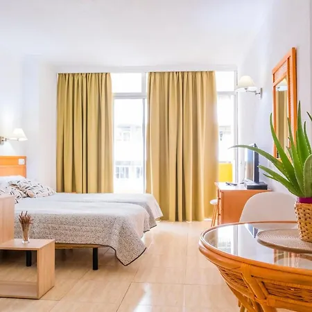Live Palmeras Apartament Puerto de la Cruz (Tenerife)